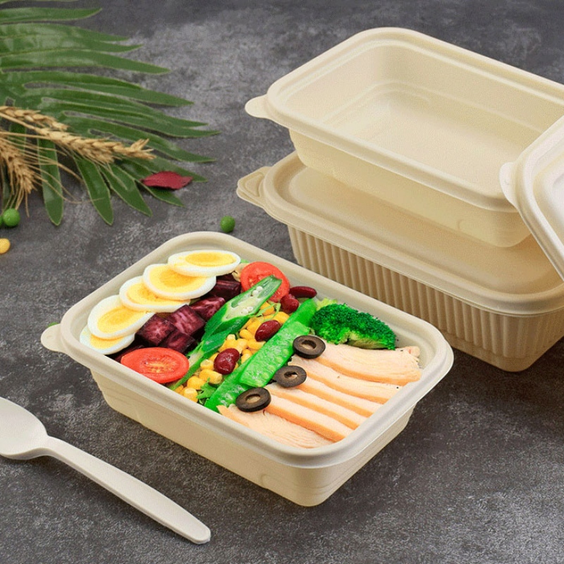 Potravinářský box na zakázku kompostovatelný jednorázový kontejner rychlého občerstvení pro obchod Bento s sebou kukuřičný škrob biologicky odbouratelný obal na potraviny
